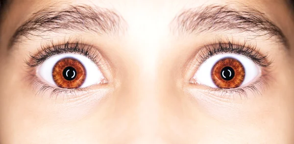 Macro Close Portrait Young Girls Brown Eyes — Stock Photo, Image