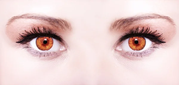 Όμορφη διορατική ματιά καστανά μάτια της γυναίκας — Φωτογραφία Αρχείου