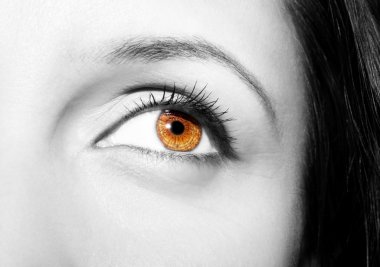 Güzel anlayışlı bakışlar Kahverengi kadın gözleri