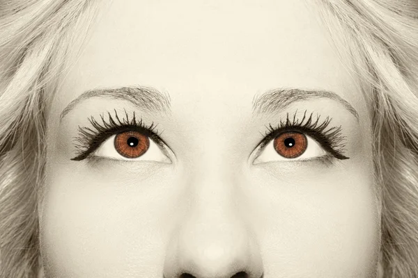 Красивый проницательный взгляд винтажные глаза женщины — стоковое фото
