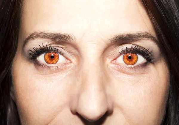 Красивий проникливий вигляд очі коричневої жінки — стокове фото