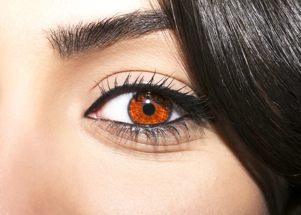 Femme oeil brun avec des cils extrêmement longs — Photo