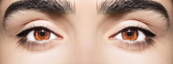 Beautiful insightful look brown woman's eyes — Stock Photo, Image