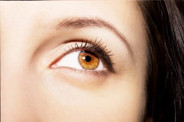 Piękny wnikliwy wygląd brązowe oczy kobiety — Zdjęcie stockowe