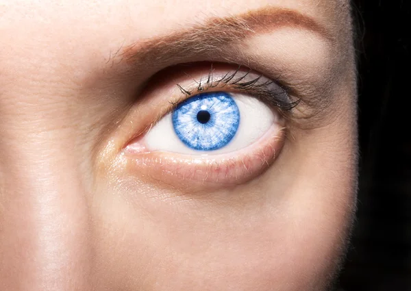 Bella sguardo perspicace occhio di donna blu — Foto Stock