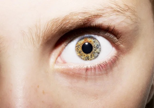 Imagen de un hermoso ojo humano mirada perspicaz — Foto de Stock