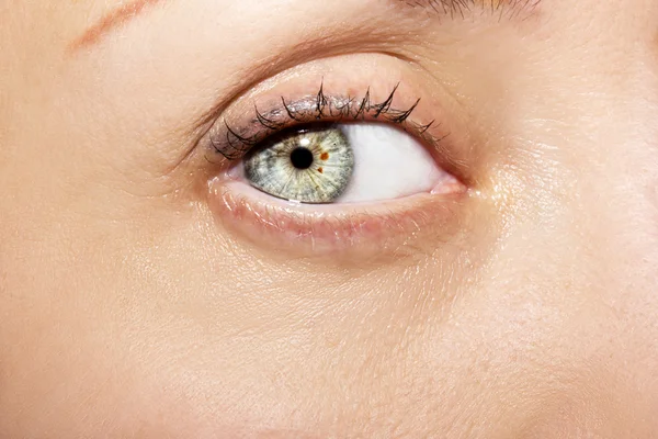 Immagine di un bellissimo sguardo perspicace occhio umano — Foto Stock