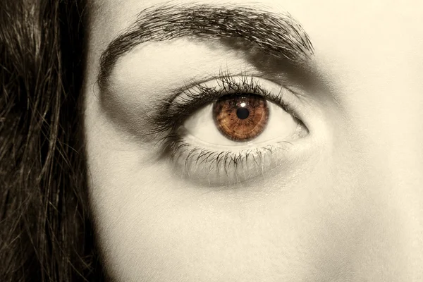 Afbeelding van een mooie inzichtelijke look menselijk oog — Stockfoto