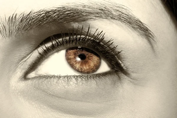 Image of a beautiful insightful look human eye — Stock Photo, Image