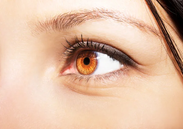 Imagen de un hermoso ojo humano mirada perspicaz —  Fotos de Stock