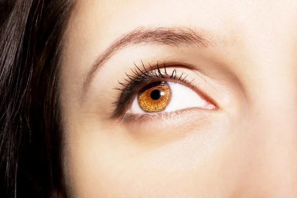 Kép egy szép éleslátó megjelenés emberi szem — Stock Fotó
