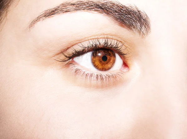 Image of a beautiful insightful look human eye — Stock Photo, Image