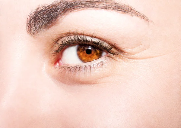 Beautiful insightful look brown woman's eye — Stock Photo, Image