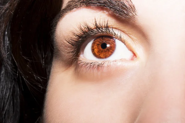 Mooie inzichtelijke blik bruine vrouw oog — Stockfoto