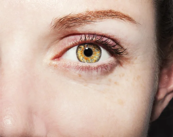 Vacker insiktsfull blick brun kvinnas ögon — Stockfoto