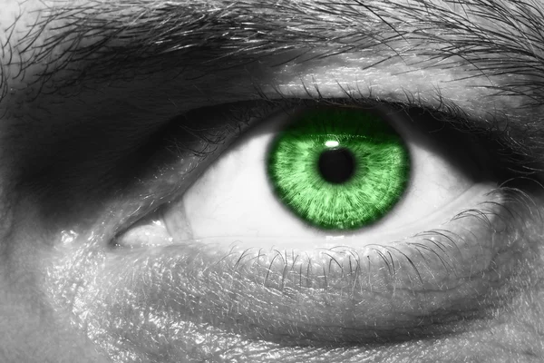 Image of man 's green eye close up . — стоковое фото