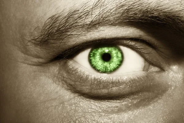 Image of man\'s green eye close up.