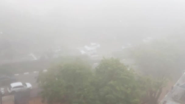 Вид с крыши здания. Туман над городом — стоковое видео