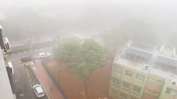 建物の屋根からの眺め。街中の霧 — ストック動画