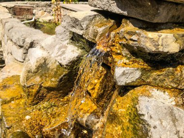 Eski bir ortodoks kilisesinin bahçesinde kaynak suyu.