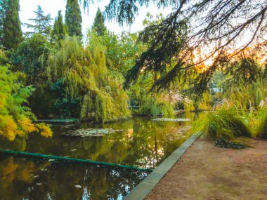 Parkta sonbahar, gölün kenarında ağaçlar, göldeki ağaçların yansıması. Düşen yapraklar. Sonbaharın renkleri.