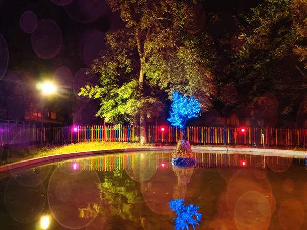 Mtatsminda Park Fontän Natten Bästa Stället Att Vila Tbilisi Högkvalitativt — Stockfoto