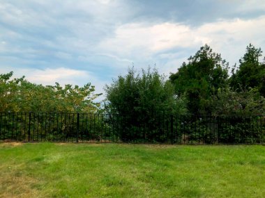 Füniküler 'deki Mtatsminda parkında çekim ve eğlence. Yeşil ağaçlar ve çalılar.