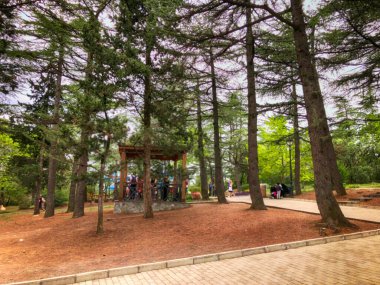 Füniküler 'deki Mtatsminda parkında çekim ve eğlence. Yeşil ağaçlar ve çalılar