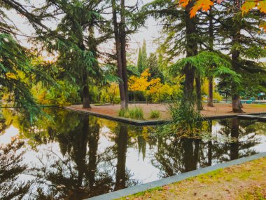 Parkta sonbahar, gölün kenarında ağaçlar, göldeki ağaçların yansıması. Düşen yapraklar. Sonbaharın renkleri
