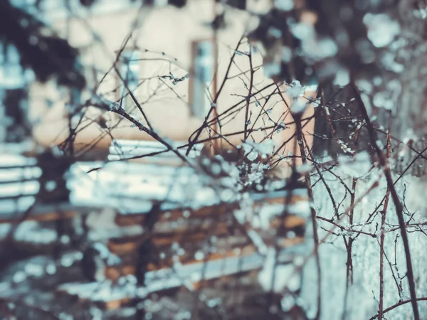 Запах Ели Сосульками Красивый Вид Снежный Пейзаж Начало Зимы Бакуриани — стоковое фото