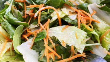 Vegetarian salad with carrots and lettuce. High quality photo.