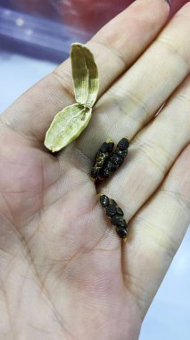 Yeşil kakule kapsülleri ve tohumlar manzarayı kapatır. Yüksek kalite fotoğraf.
