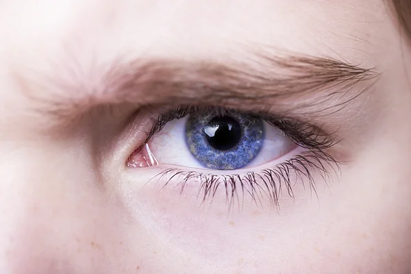 Regard perspicace yeux bleus garçon — Photo