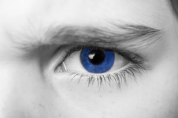 Проницательный взгляд голубые глаза мальчика — стоковое фото