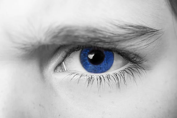 Regard perspicace yeux bleus garçon — Photo