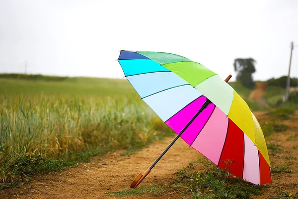 Paraguas colorido al aire libre en otoño día lluvioso — Foto de Stock