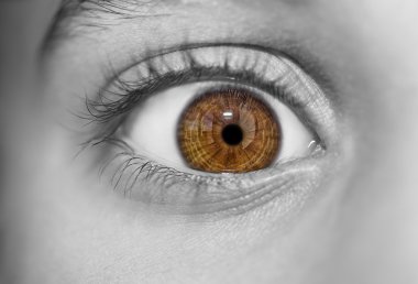 anlayışlı göz gözler