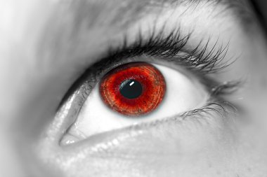 anlayışlı bak gözleri çocuk