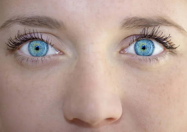 Aufschlussreiche Augen — Stockfoto