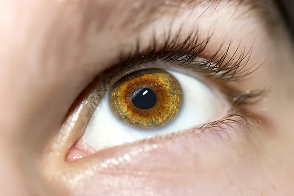 Image of man 's brown eye close up . — стоковое фото