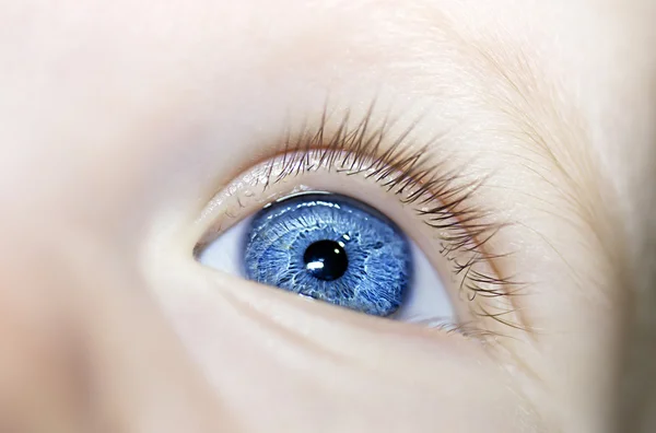 Inzichtelijke blik ogen jongen — Stockfoto