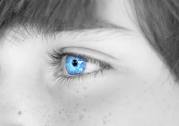 Regard perspicace yeux bleus garçon — Photo