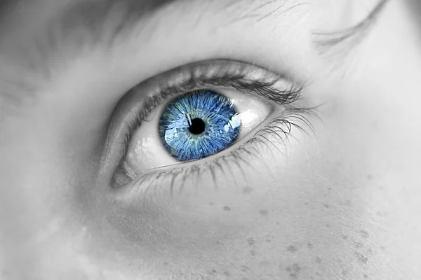Wnikliwe spojrzenie chłopca niebieskie oczy — Zdjęcie stockowe