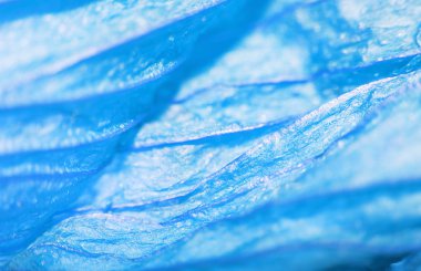 Bir güzel yaprağı