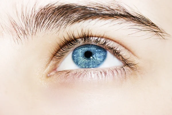 Inzichtelijke blik blauwe ogen jongen — Stockfoto