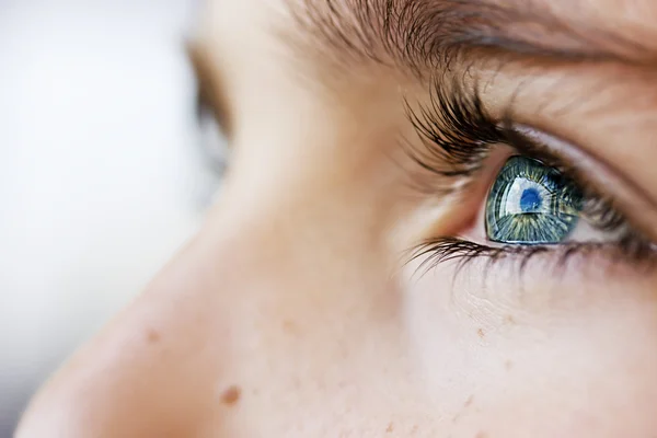 Mirada perspicaz ojos azules chico —  Fotos de Stock