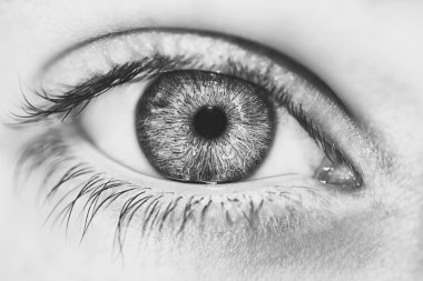 anlayışlı bak gözleri çocuk