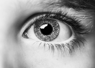 anlayışlı bak gözleri çocuk