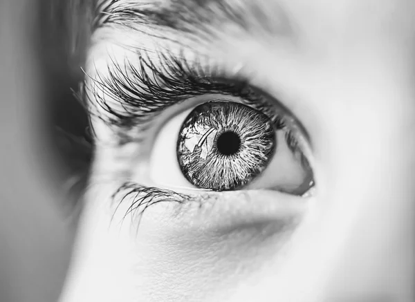 Insightful look eyes boy — Stock Photo, Image