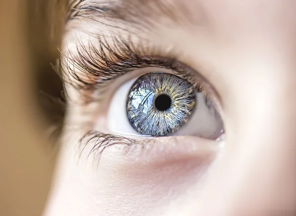 Aufschlussreicher Blick Augen Junge — Stockfoto